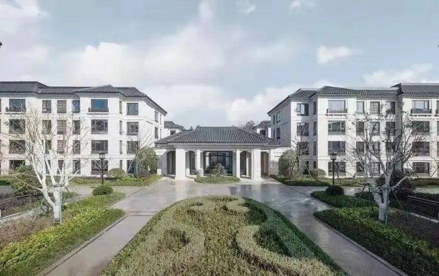 1647177311885282FTYd.jpg 9.jpg